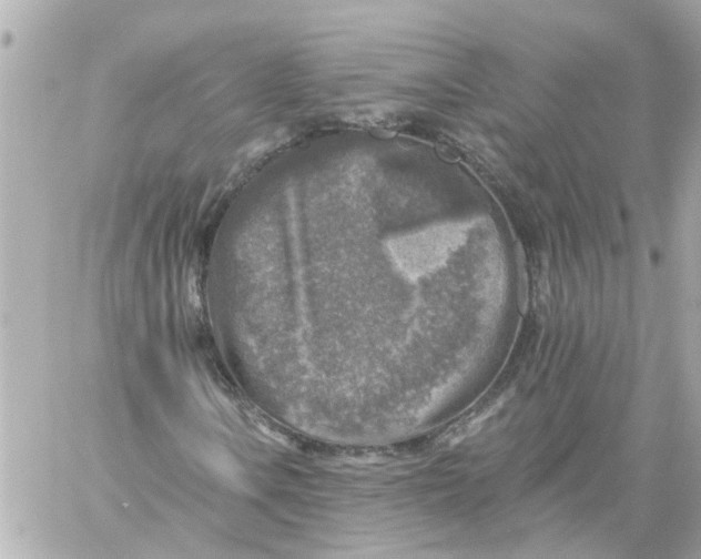 X0000059081106200511041814