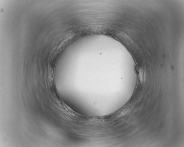 X0000059081107200511041814