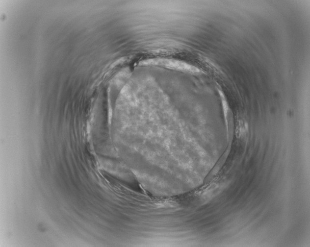 X0000059081108200511041814