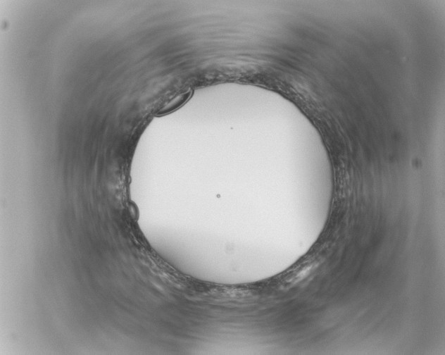 X0000059081109200511041814