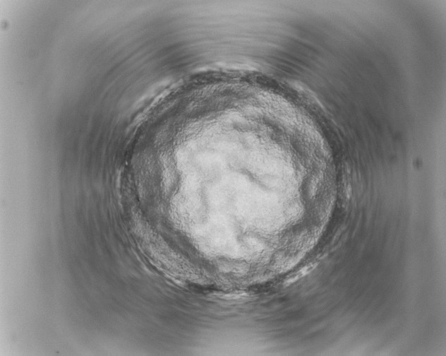 X0000059081110200511041814