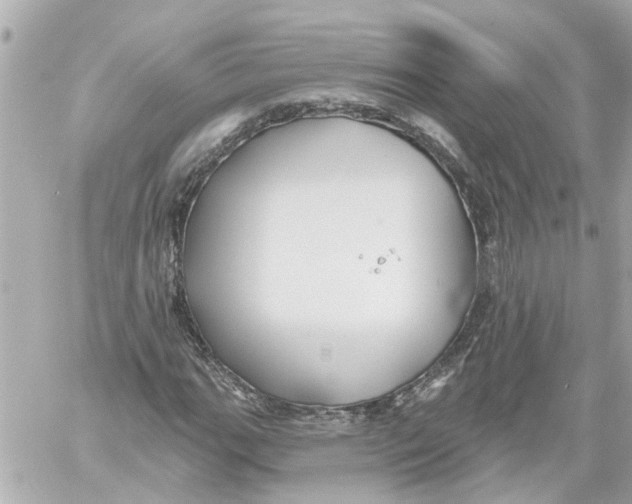 X0000059081111200511041814