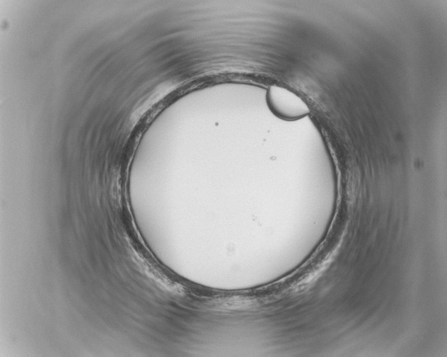 X0000059081113200511041814