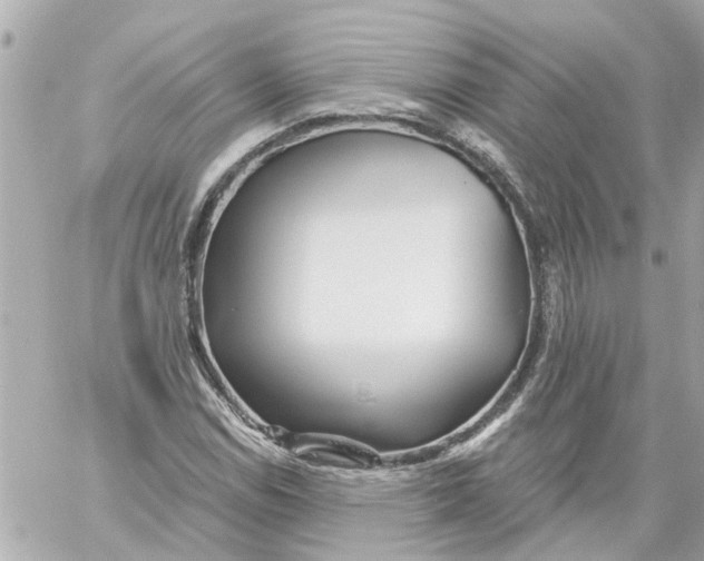 X0000059081114200511041814