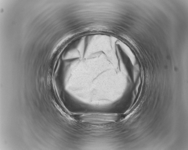 X0000059081115200511041814