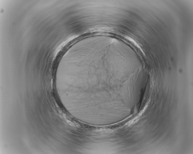 X0000059081117200511041814