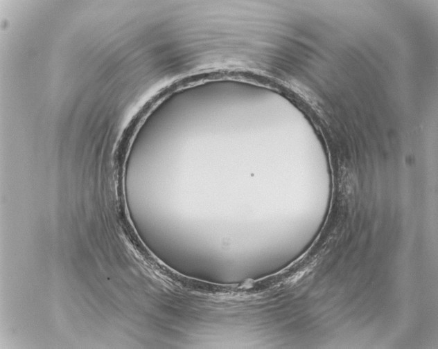 X0000059081118200511041814