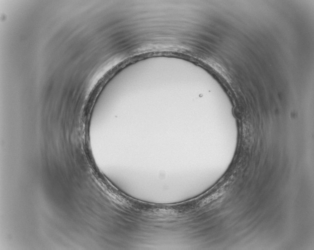 X0000059081119200511041814