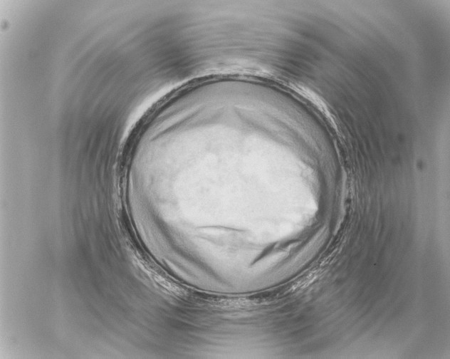 X0000059081120200511041814