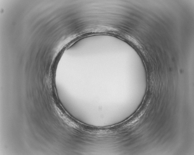 X0000059081122200511041814