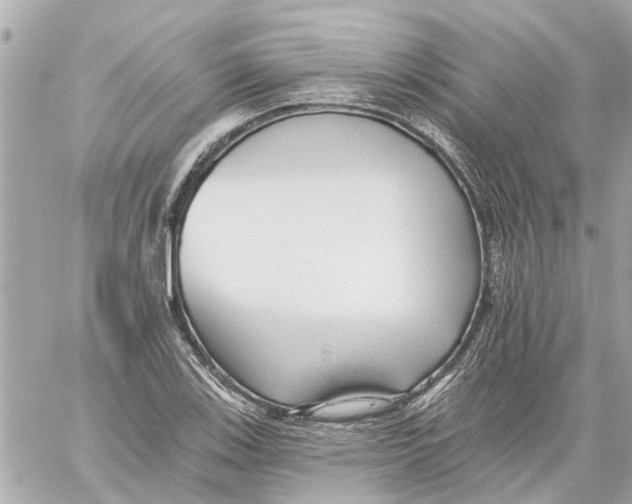 X0000059081123200511041814