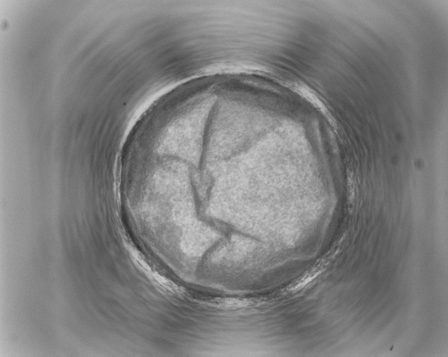 X0000059081124200511041814