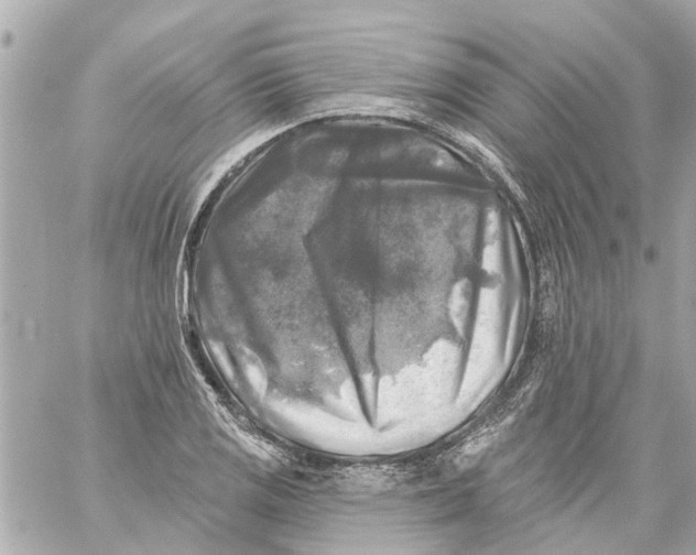 X0000059081125200511041814