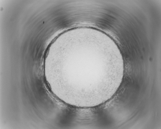 X0000059081126200511041814