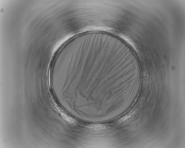 X0000059081127200511041814