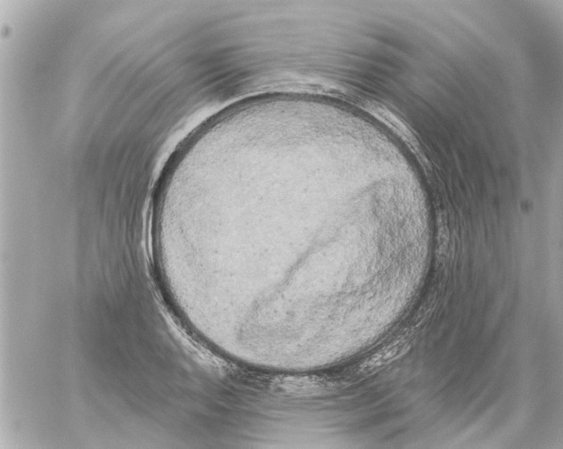 X0000059081128200511041814