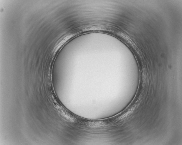 X0000059081129200511041814