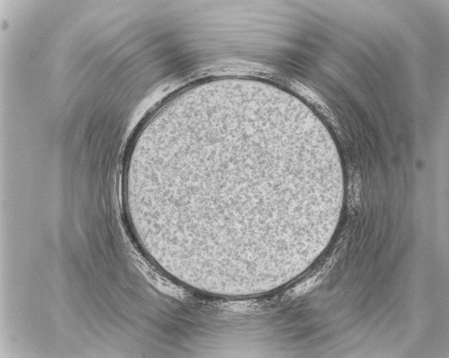 X0000059081130200511041814