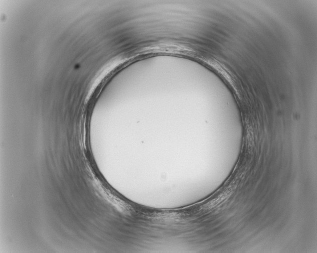 X0000059081131200511041814