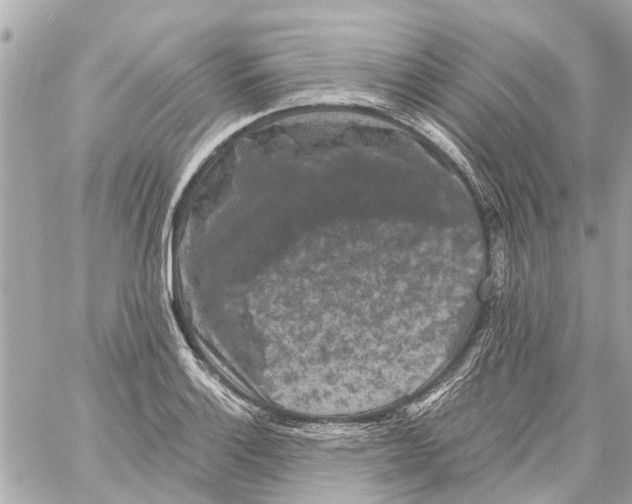 X0000059081132200511041814