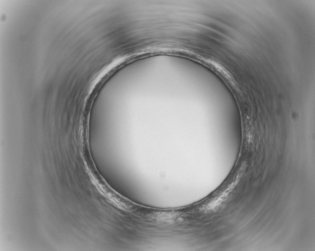 X0000059081134200511041814