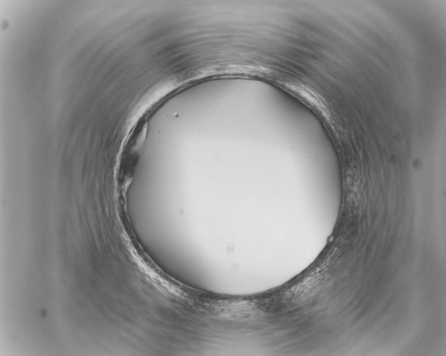 X0000059081135200511041814