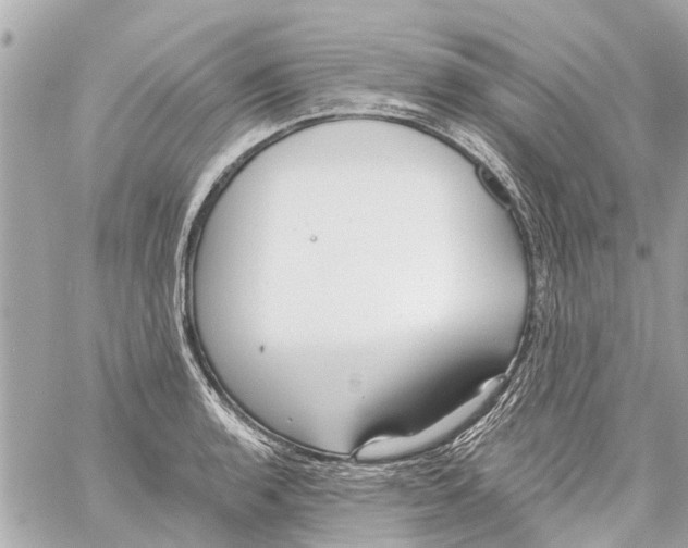 X0000059081136200511041814