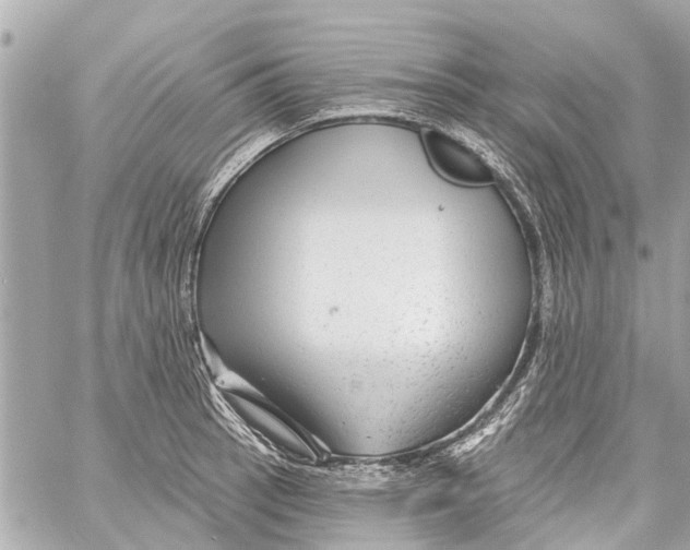 X0000059081137200511041814