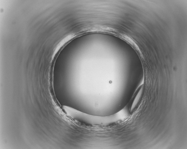 X0000059081138200511041814