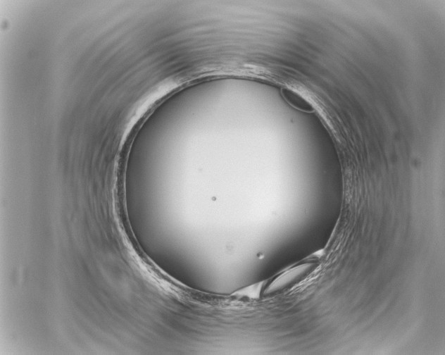 X0000059081139200511041814