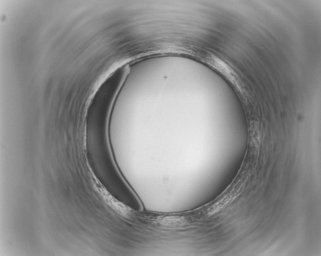 X0000059081140200511041814