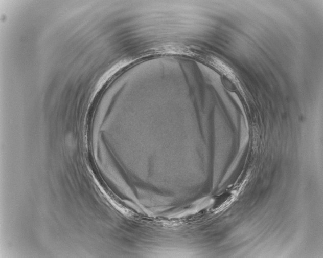 X0000059081141200511041814