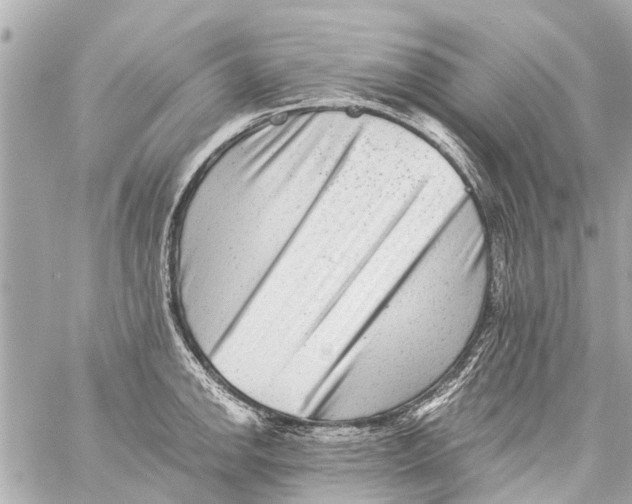 X0000059081142200511041814