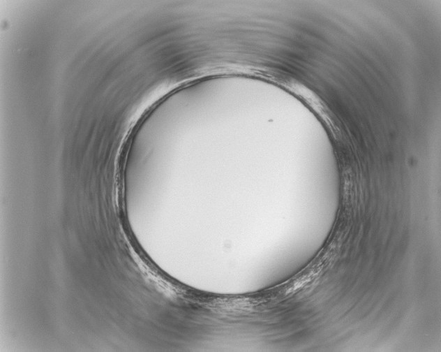 X0000059081143200511041814