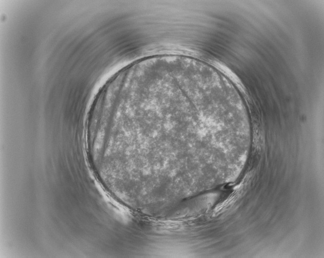 X0000059081144200511041814