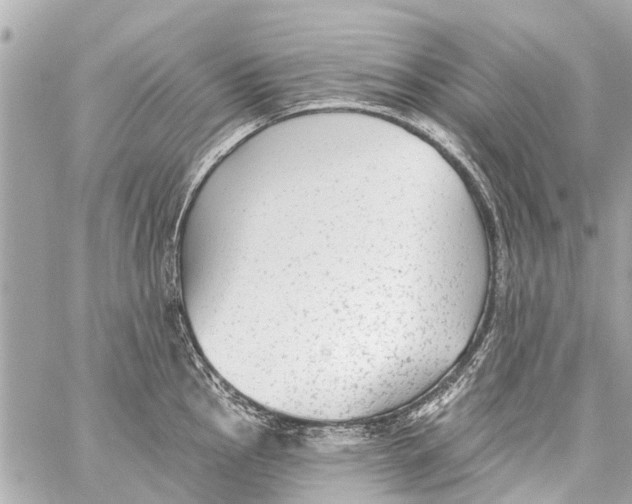 X0000059081145200511041814