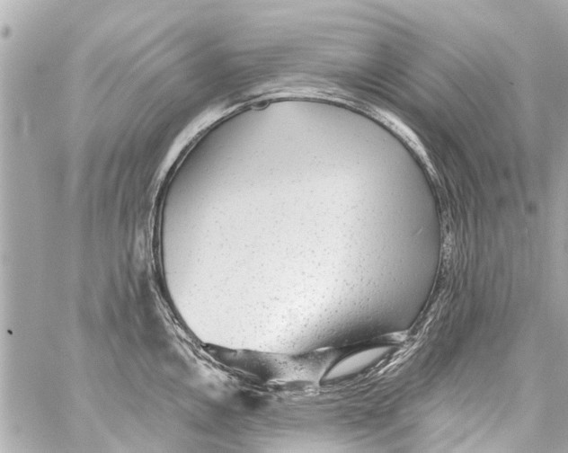 X0000059081146200511041814