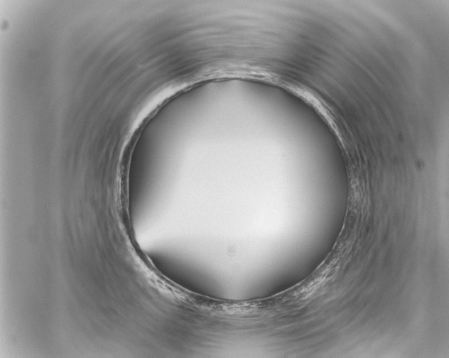 X0000059081147200511041814