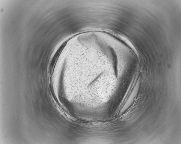 X0000059081148200511041814