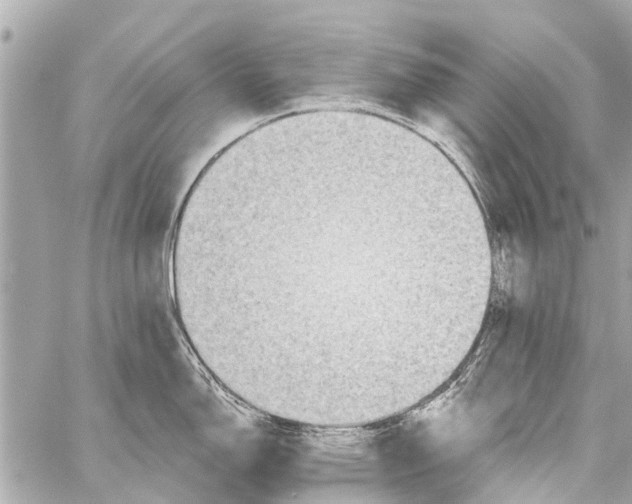 X0000059081150200511041814