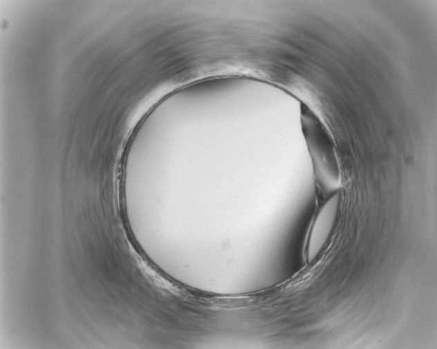 X0000059081151200511041814