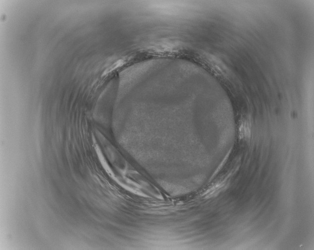 X0000059081156200511041814