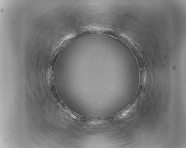 X0000059081157200511041814