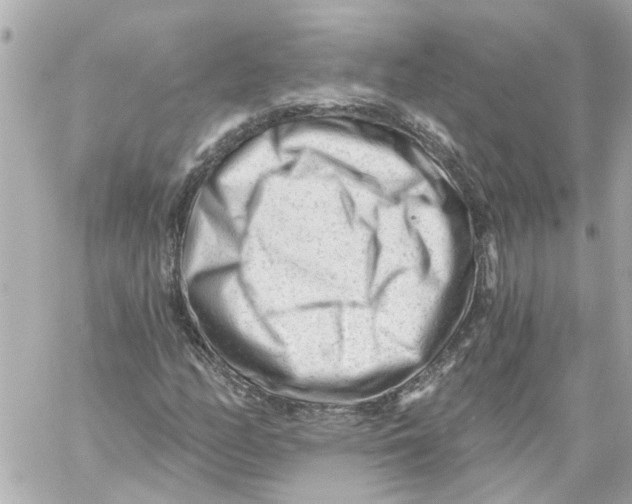 X0000059081158200511041814