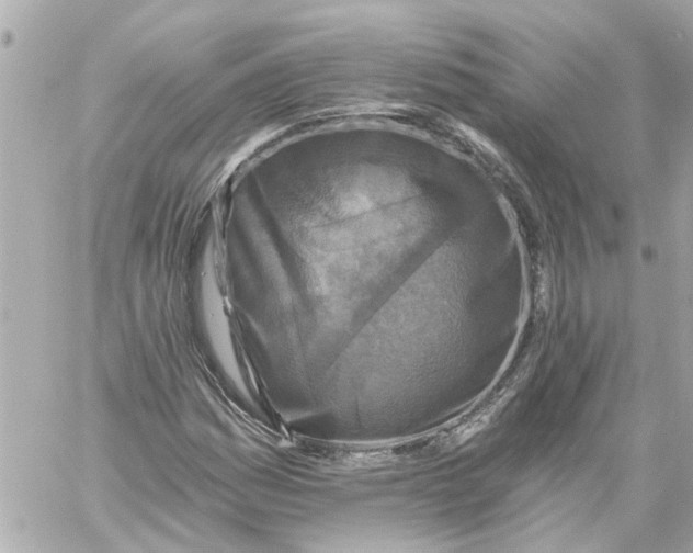 X0000059081161200511041814