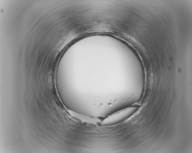 X0000059081162200511041813