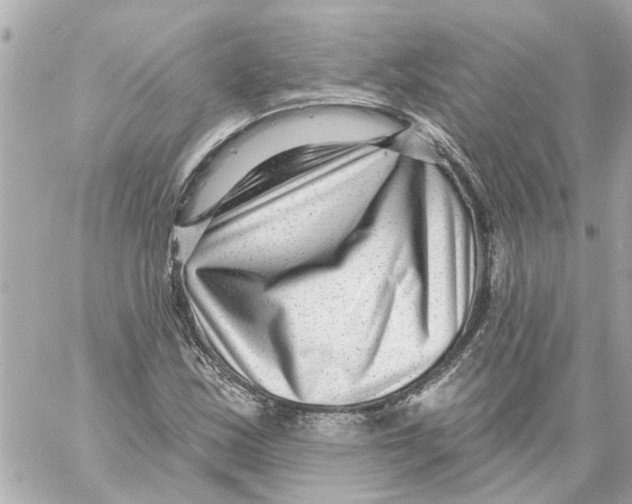 X0000059081163200511041813