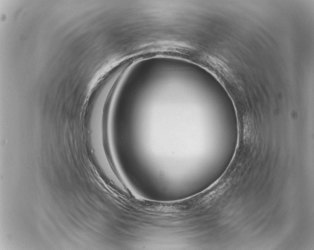 X0000059081164200511041813