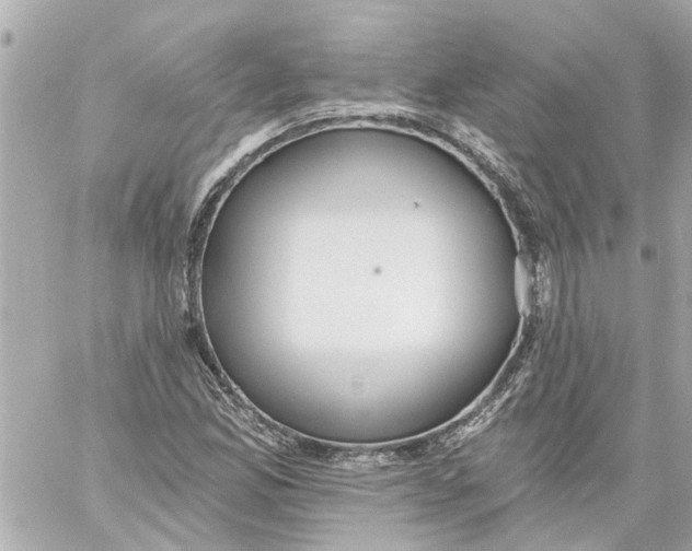 X0000059081165200511041813