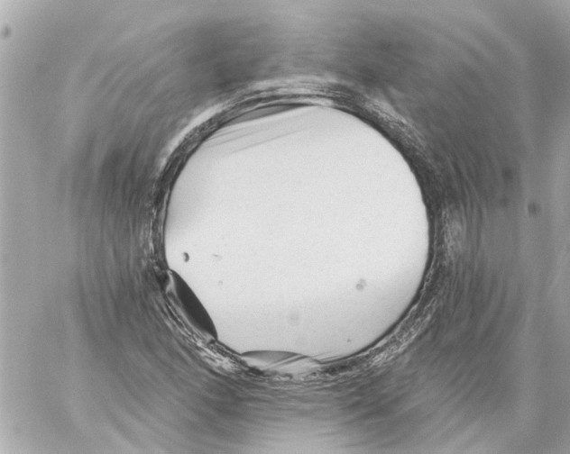 X0000059081166200511041813